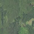 Small smoldering wildfire in Hiawatha National Forest