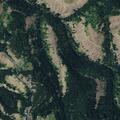 Small burn pile smoldering near Lewis Peak Road