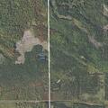 Rose Lake fire checked and declared out