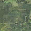 Dog loose in roadway near M-48 and 27 Mile