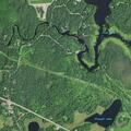 85-year-old female falls and may have seizure in Mercer