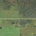 Male with hydrocephalus unresponsive near east M-48 in Pickford