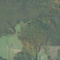 Man in psychosis with hand injuries in Germfask
