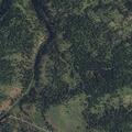 Hunters reported trespassing on private property field