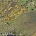Person with dementia weak and unresponsive at home