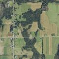 65-year-old female found fallen at Route 1, Littleton