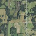 Driver reports hitting bear cub on rural road