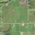 Cow blocking roadway on West M-48 Business Spur