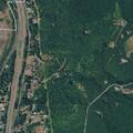 Person having a seizure near Yaden Lane in Castle Rock