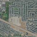 Dog walking in roadway on US-395 ramp to I-182