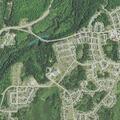 Caller reports people in backyard near Panther street