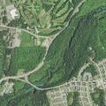 Loose dogs reportedly attack woman and her dog