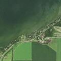 Neighbor dispute over fallen trees on Otter Tail Lake