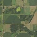 Dog repeatedly chasing livestock at rural property