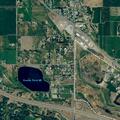 Five juveniles swimming in pond six off Buna Loop Road