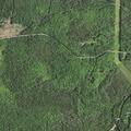 Vehicle flees traffic stop on County Road 482