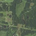 ATV damages neighbor’s property on Buckhorn Trail