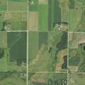 Cattle reported on County Highway 19 roadway