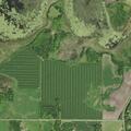 Grass fire reported on south side of Star Lake