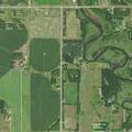 Cow loose on roadway reported near Perham