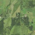 Loose dogs chasing horses on rural property