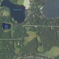 Man unresponsive after bee sting in Nisswa