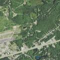 Driver hits deer near Superior Auto Parts