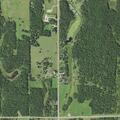 Loose cows reported on County Road 1