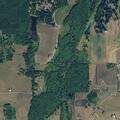 79-year-old woman falls, possible ankle injury in Silver Creek