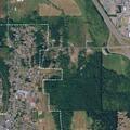 Two children exposed to bear spray near Chehalis