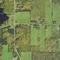Vehicle and deer collision blocking roadway