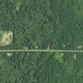 Car hits deer on East Highway 13