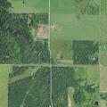 77-year-old male killed by falling tree in Maple