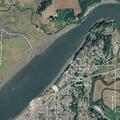 Officer reports animal problem at residence