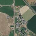 Dog disturbing animals at rural property
