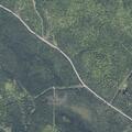 Vehicle crash with deer near Portage Lake