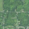 Loose pit bull reported near Lyons Street homes