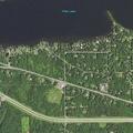 Loose dogs creating hazard on Highway 53