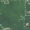 Person requesting help at Blueberry Rd with unusual behavior