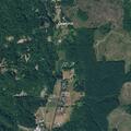 BLS response to medical call near Tenino