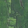 (name withheld) reports daughter slammed door into aunt at home