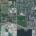 Complaint about aggressive dogs near garbage area