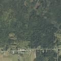 Caller reports multiple gunshots near Woodland home