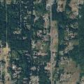 Homeowner reports possible prowler at Eatonville home