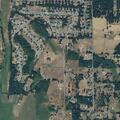 Neighbor dispute over barking dogs in Roy