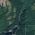 Possible protection order violation at Lake Sylvia