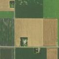 Traumatic injury reported near 60th Street North in Grandin