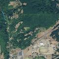 Resident reports noises in woods behind home