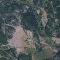 Fallen trees block Placid Lake roads