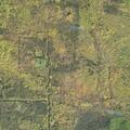 Generator shed fire at Balsam Lane property